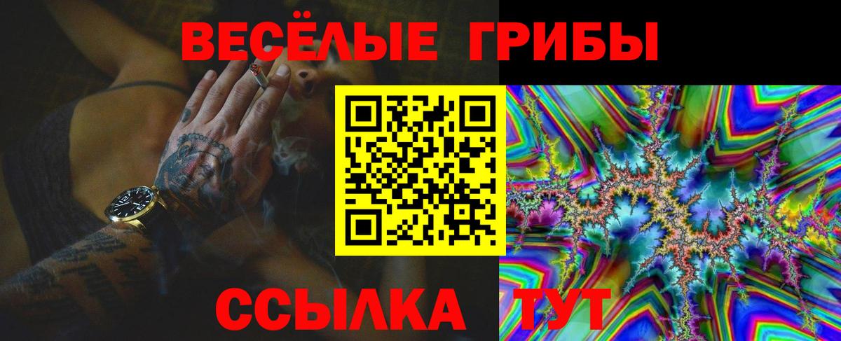 Псилоцибиновые грибы Cubensis Сланцы
