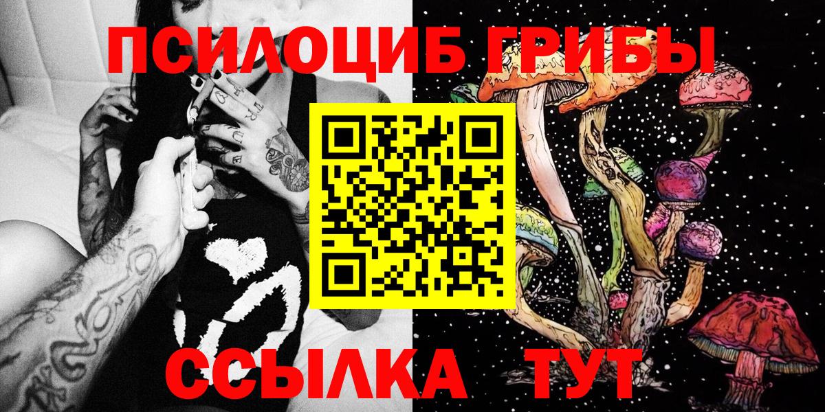 Галлюциногенные грибы прущие грибы  Галлюциногенные грибы Psilocybe  Сланцы  Вход с VPN 